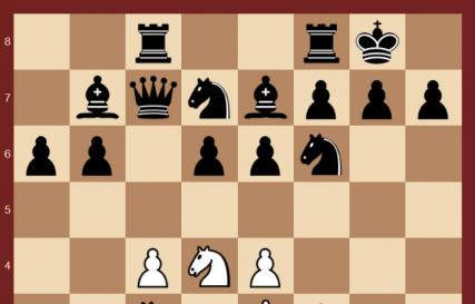 Что такое еж в шахматах. 